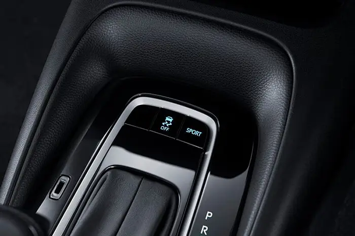 Adaptable Driving Mode