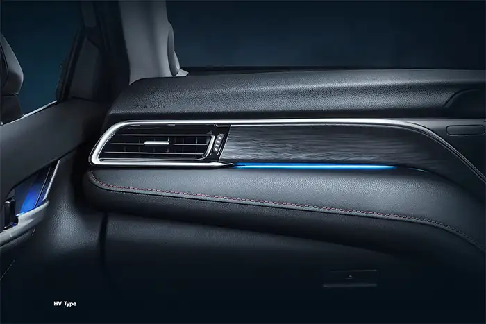 Authentic Titanium Ornamentation