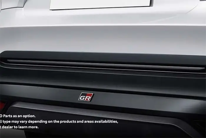 Back Door Sporty Ornament