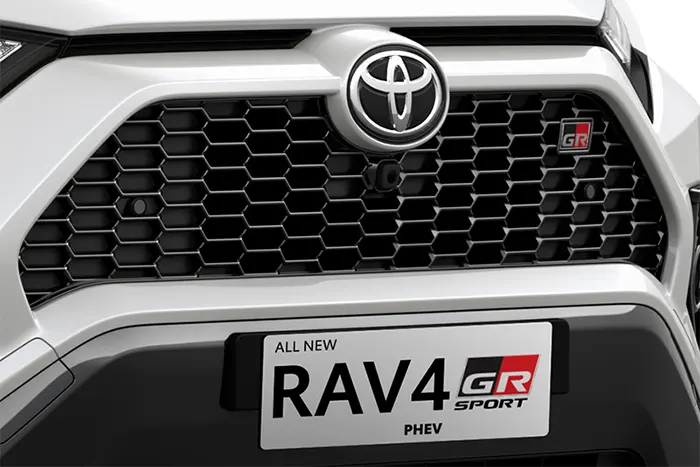 Bold Radiator Grille