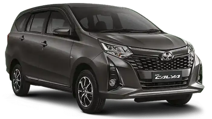 Bronze Mica Metallic