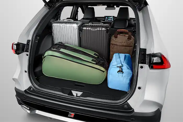 Cozy Spacious Luggage