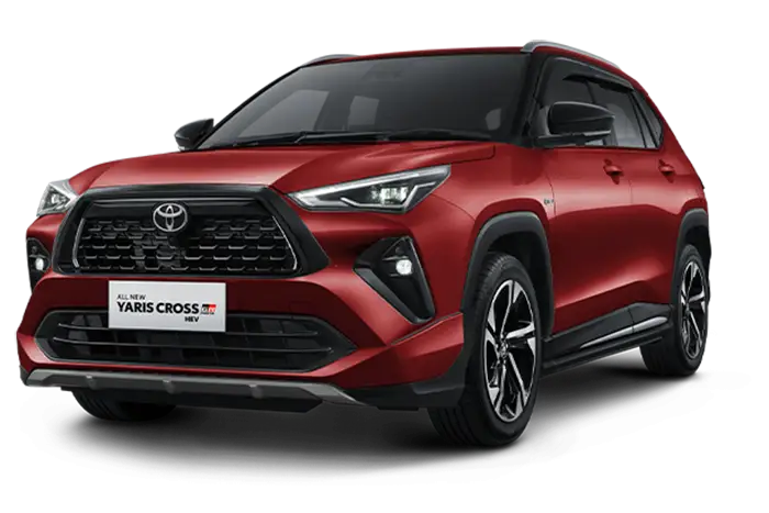 Dark Red M,M (Spot Order)