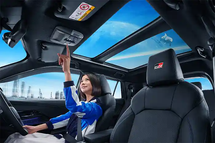 Fancy Panoramic Glass Roof