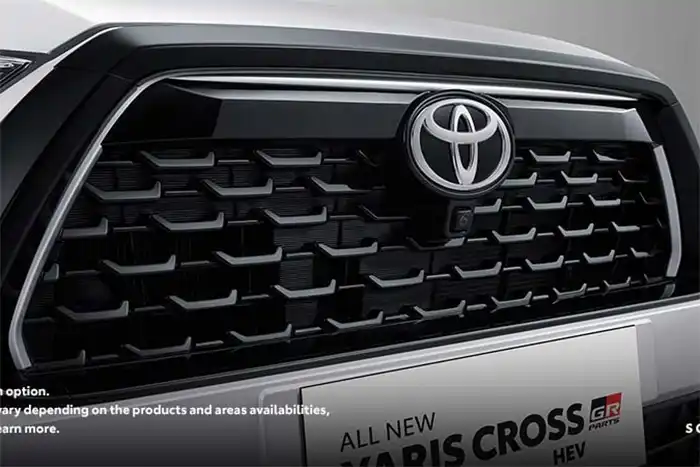 Inner Grille Sporty Ornament