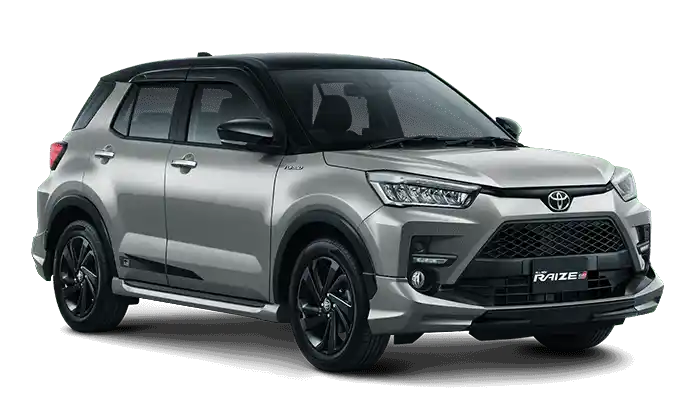 Silver Metallic Black